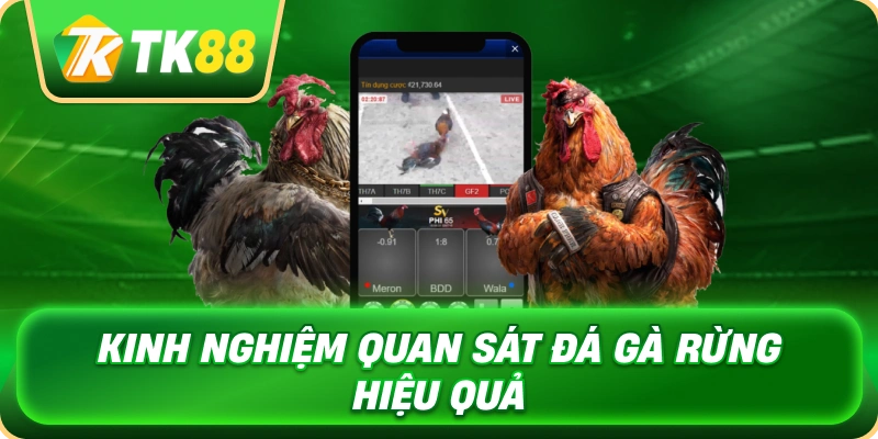 kinh_nghiem_quan_sat_da_ga_rung_hieu_qua_1x