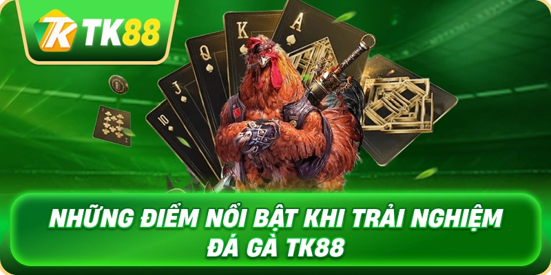nhung_diem_noi_bat_khi_trai_nghiem_da_ga_tk88_1x