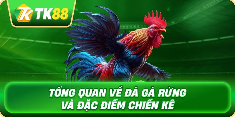 tong_quan_ve_da_ga_rung_va_dac_diem_chien_ke_1x